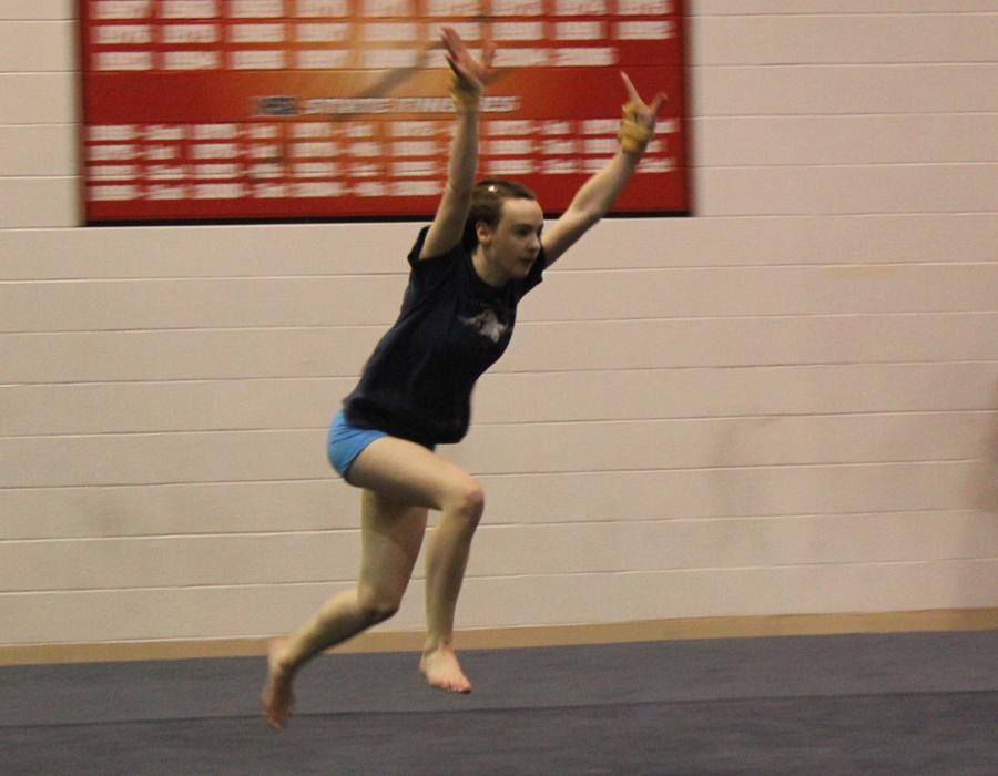 Gymnastics team prepares for conference and state