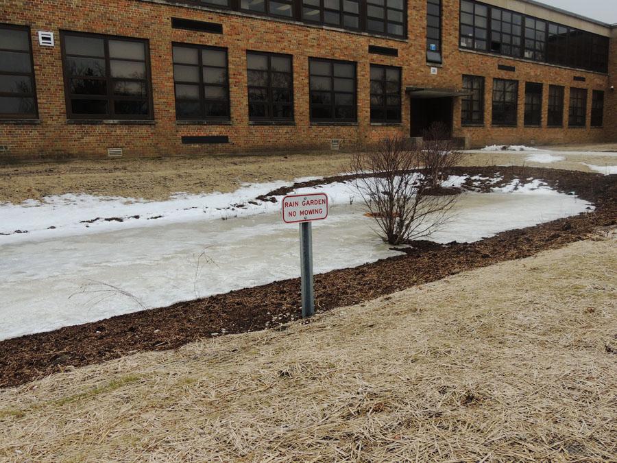 Rain gardens at main entrance meant to soak up excess water