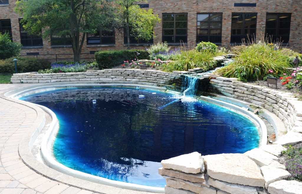 Food coloring in pond slows algae growth