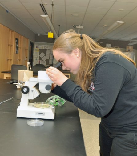 Students conduct experiments in SIR 