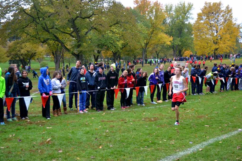 Boys cross country competes for state title