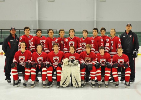 The 2014-2015 varsity hockey team.  The team made it to the second round of the playoffs. 