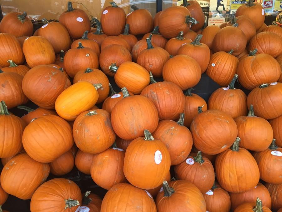 Pumpkins are a prime symbol of fall 