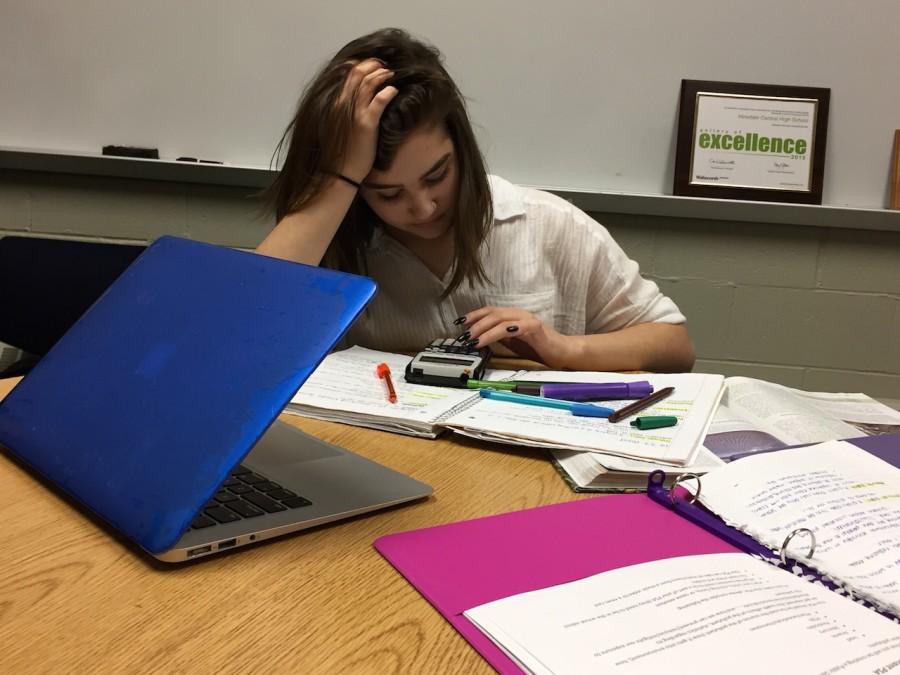 Junior Riley Kowalski is one of many who feel the pressure to prepare for college entrance exams and maintain high grades in her courses. 