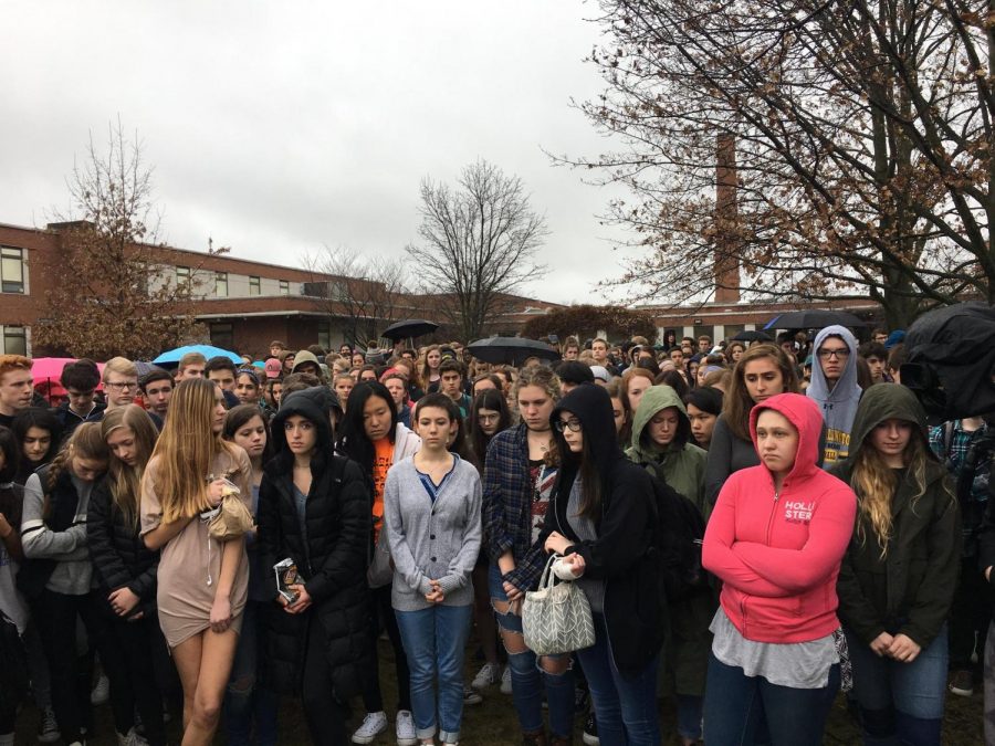 Since the Parkland shooting, many students across the nation have protested publicly against current gun laws through walkouts and marches.