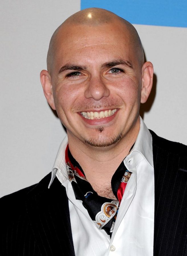 Pitbull is a famous pop rapper from Cuba. He has numerous awards to his name, and he will be performing at RibFest.