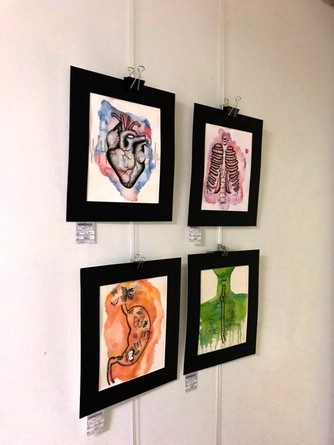 Students series were displayed from the class, Honors Portfolio. 