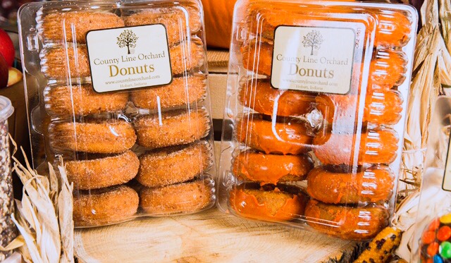Pumpkin and apple-flavored donuts are perfect fall foods and can be bought at most grocery stores, bakeries, or coffee shops.