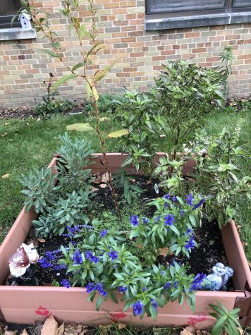 Plans for a greener space