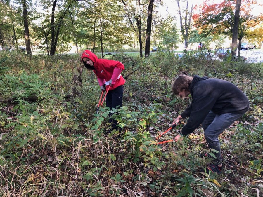 Students clean up at the Maple Grove Forest Preserve during the Day of Service on Oct. 19. 