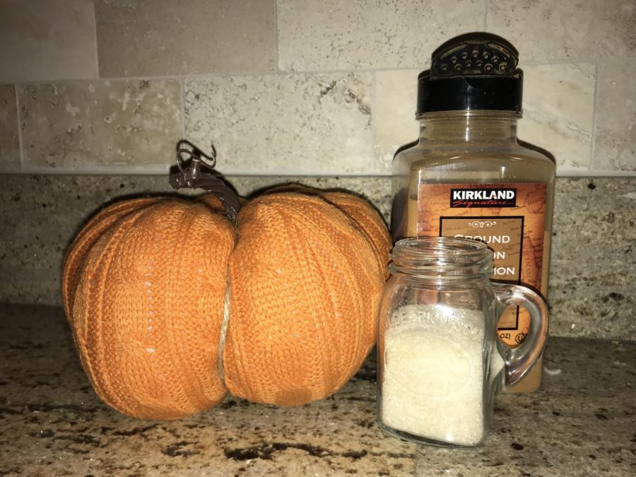 Pumpkin and spices like cinnamon are often used in fall foods. We used both of them to make roasted pumpkin seeds and pumpkin muffins. 