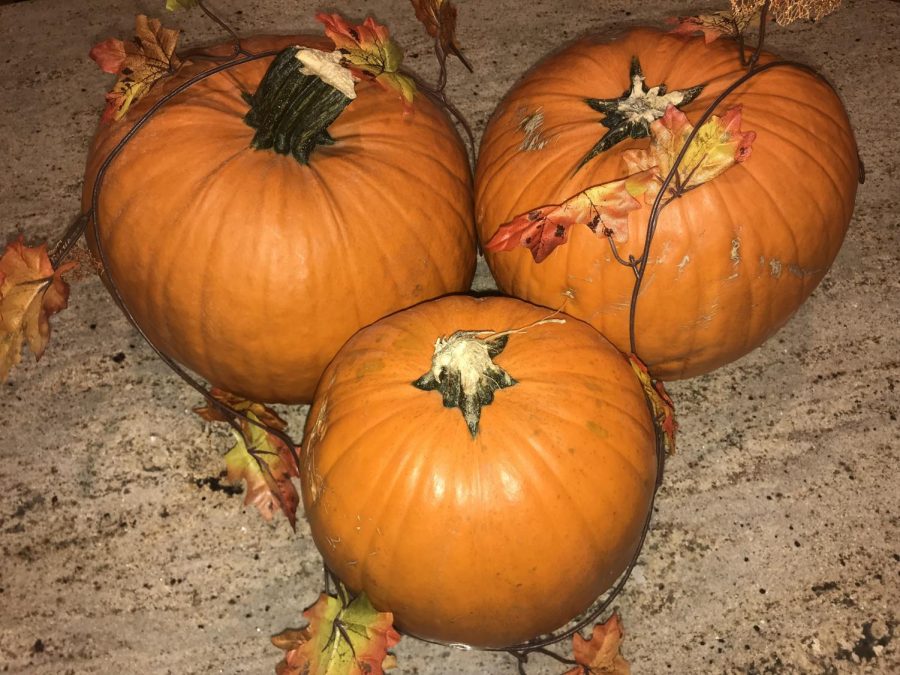 Carved pumpkins are signatures pieces to Halloween, with many doorsteps around neighborhoods decorated with lit pumpkins. 