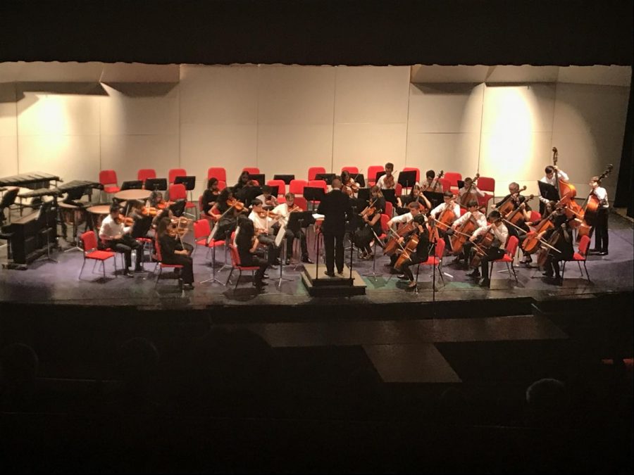 Hinsdale+Centrals+concert+orchestra+performed+The+Emerald+Falcon+composed+by+Richard+Meyer.