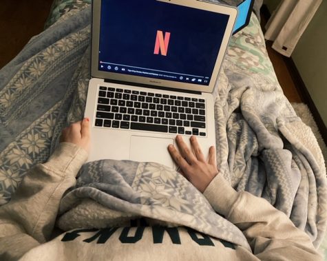 After a long day's work of e-learning, watching new Netflix shows is the best way to unwind and relax during this quarantine.