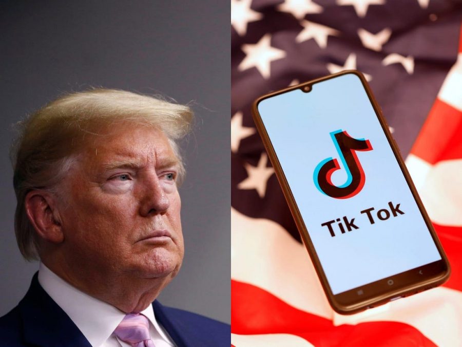 President Trump voiced his support for TikToks new ownership and his plans to prevent foreign propaganda. 