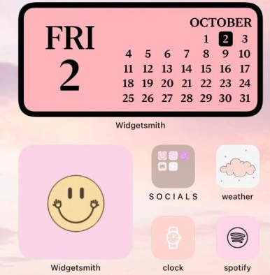 Ashley Menendez, senior, created a pink-themed home screen. 