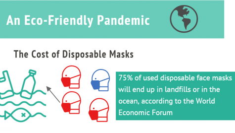 Cloth masks help the environment and keep you safe. 