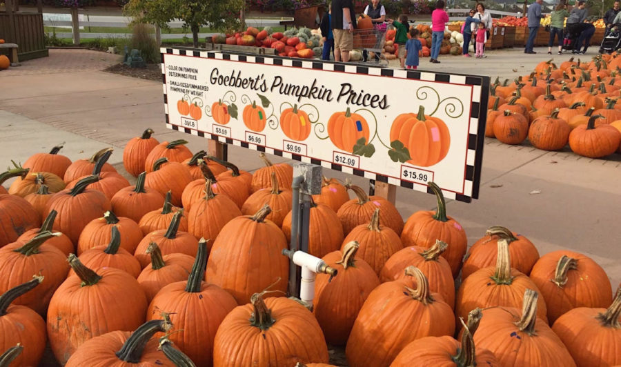 Goebbert’s Farm and Garden Center has provided many with entertainment and fall activities for years. Visit South Barrington, lll, through Oct. 31, to see their “Fall Festival.”