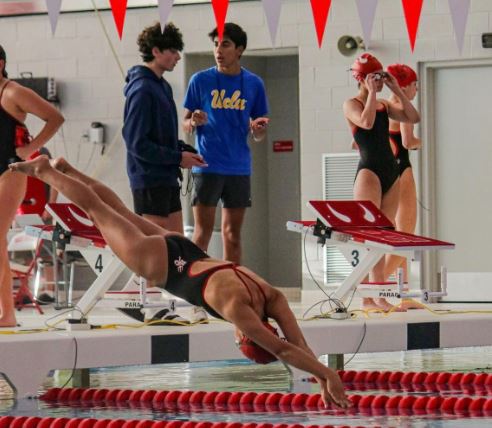 Senior Remi Bokos dives into the pool during a meet against Glenbard West High School.