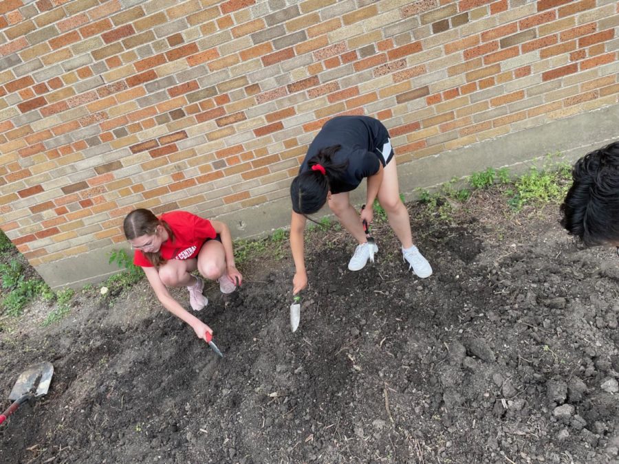 Ecology Club members planted a natural habitat on May 20 after winning a grant from the Illinois Department of Natural Resources. 