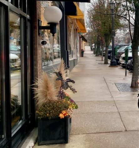 With so many dining options available in downtown Hinsdale, many of which do not allow dogs, business and the Chamber of Commerce should reconsider their policies on welcoming dogs inside. 
