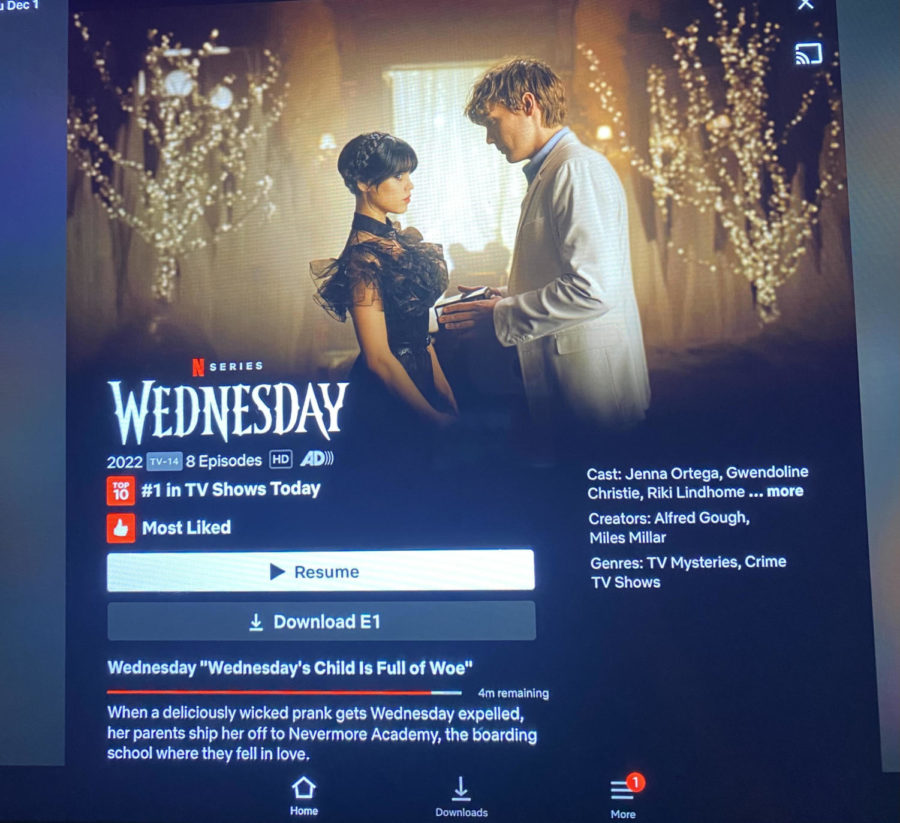 On Wednesday, Nov. 23, the first season of Miles Millar and Alfred Goughs series Wednesday was released on Netflix.