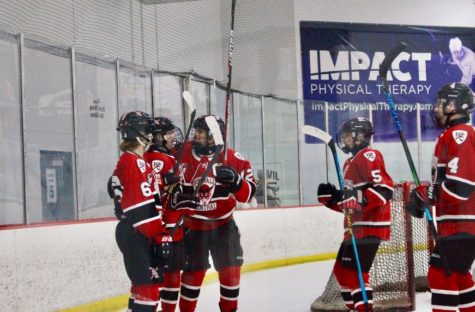 The Devils celebrate a goal by Sebastian Dufort against Waubonsie on Jan. 16. They would win the game 5-4.