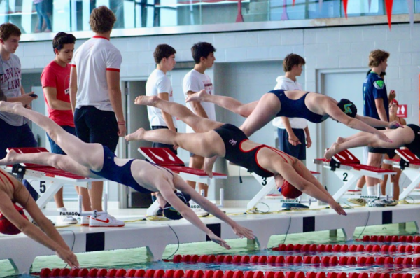 Hinsdale Central swimmers jump in to compete in the 50 freestyle event on Sept. 8 against LT. 