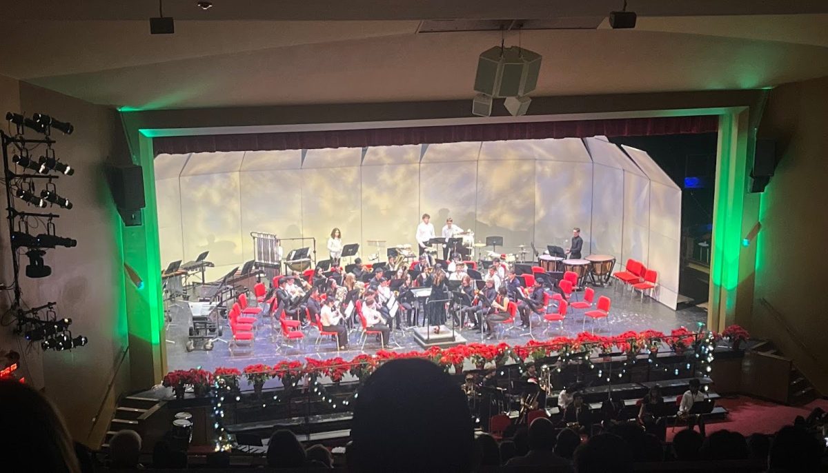 The band performs various holiday songs during the concert.