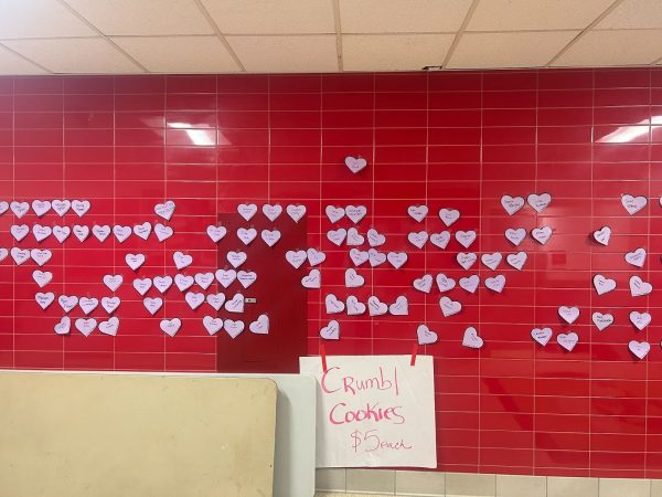 On Wednesday, Feb. 14, the student council put up hearts that displayed student’s and staff member’s names for them to find on Valentine’s Day.