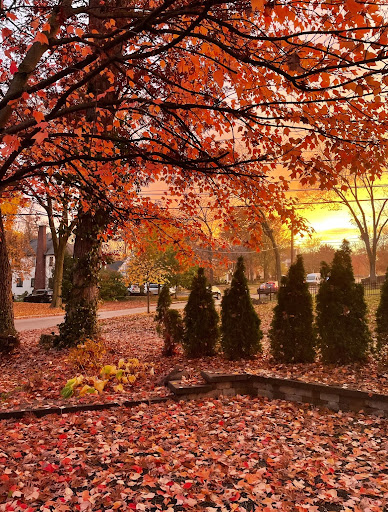 Around Hinsdale Central, the leaves on the trees are slowly changing colors. 
