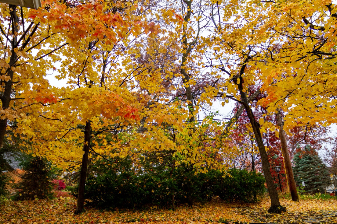 With leaves changing, many students tap into the positive energy as they transition to autumn. 